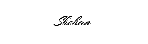 CEO Signature